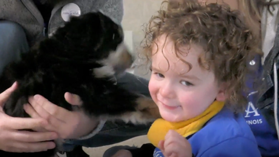 Ezra's wish for a puppy