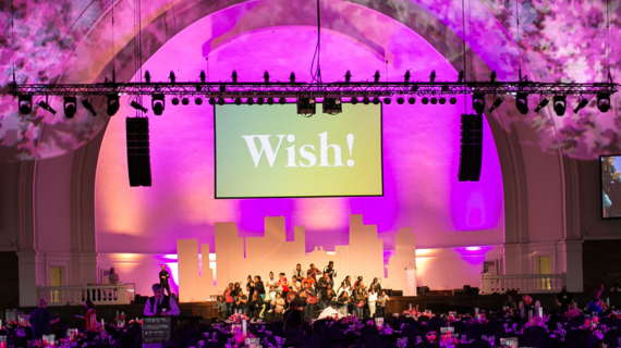 Wish Ball
