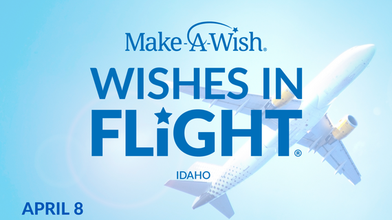 Wishes In Flight