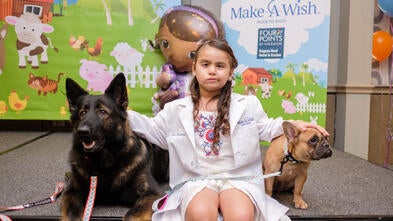 Dalianys posando con perros