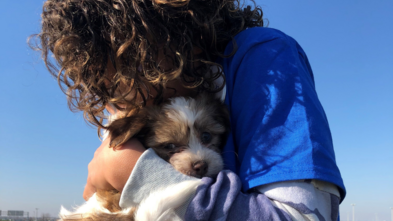 Wish kid Nyla and her puppy