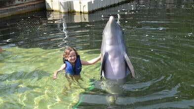 Hannah swims with dolphins
