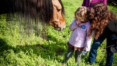 Corah's Wish to meet Spirit
