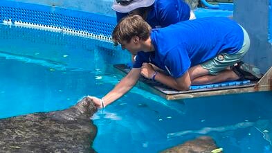 Dylan Cares For Animals