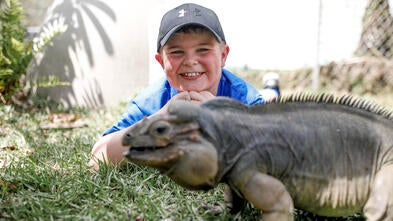 Brayton - reptile zoon - Iowa