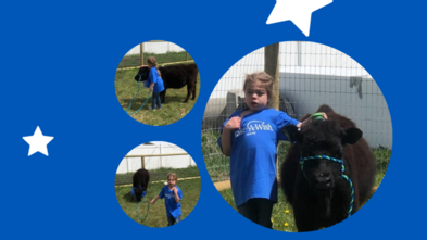 Avery_Cow_Wish