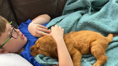 Aven_Wish_Puppy