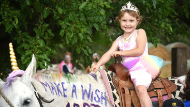 Addie's Wish to Have A Unicorn Party