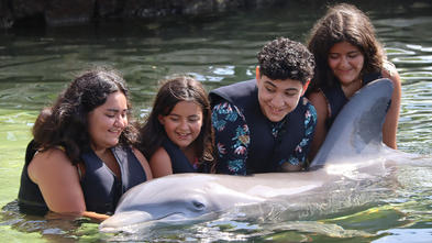 Beatriz's wish to swim with the dolphins