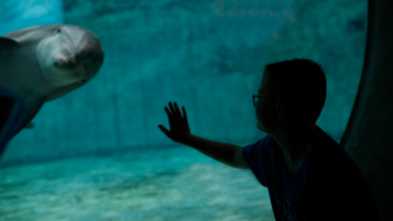 Kameron's Wish to Visit Rehabilitated Sea Animals