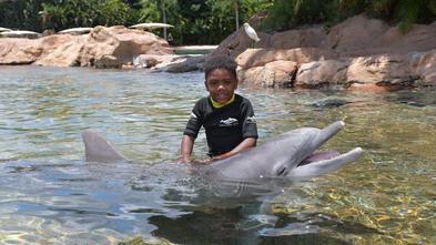 Roman on his wish to Florida to swim with dolphins