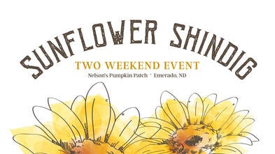 Sunflower Shindig FY24