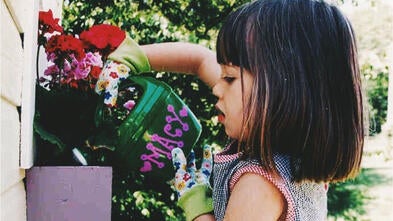 Macy Then watering flowers