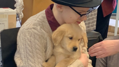 Judah's Wish to have a Puppy
