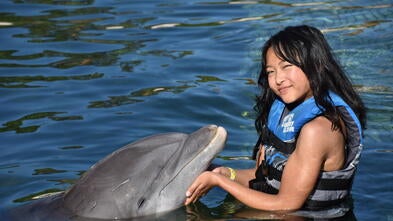 Serena Hawaii Greater LA
