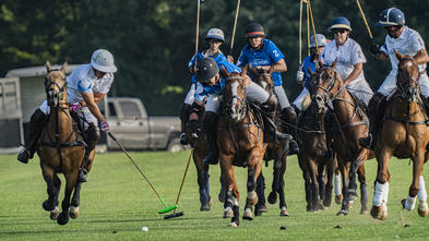 A group of group riding horses swinging a golf club in sport.