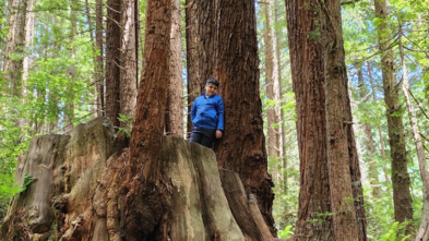 Javier among the giant Redwoods