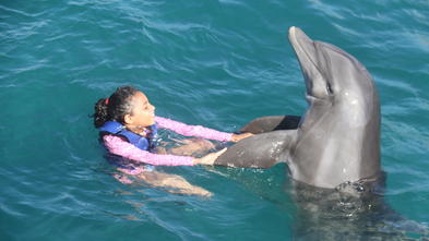 Analia and Dolphin