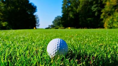 Golf ball in grass with blue sky behind