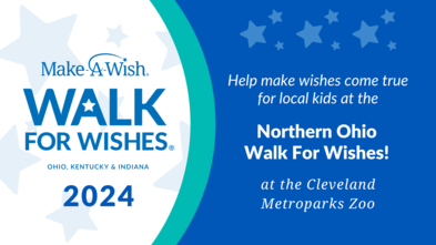 The 2024 Northern Ohio Walk For Wishes