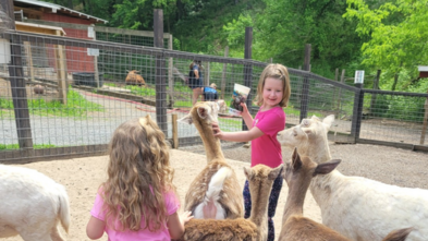 Lillian_Petting_Zoo