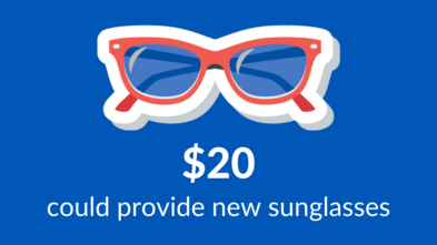 $20 donation - summer of wishes