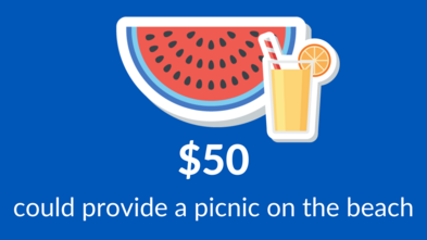 $50 donation - summer of wishes