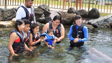 Deydalie and her family feed the dolphins.