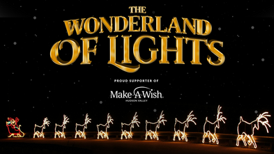 The Wonderland of Lights