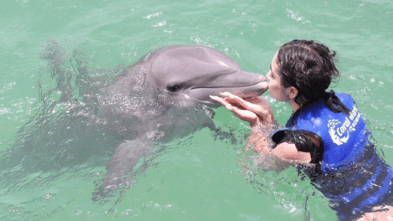 Bria kissing the nose of a dolphin