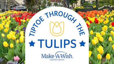 067_FY25TiptoeBanner