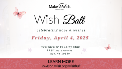 Wish Ball 2025