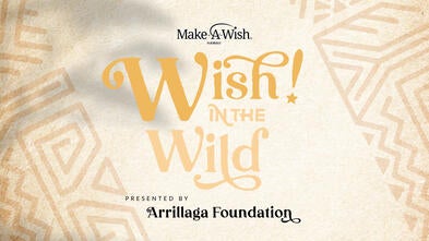 Wish! In The Wild
