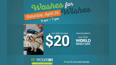 Washes For Wishes