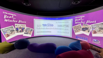 Beat the Winter Blues Check Presentation