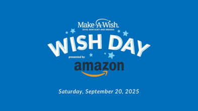 Amazon wish day promo