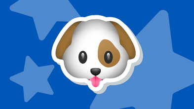 $750 provides a vet visit for a child's wish to have a puppy.