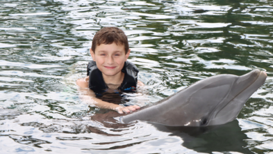 Branson and Dolphin
