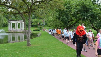 Walk in the Park