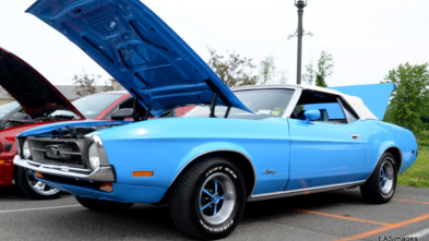 Shelby Mustang