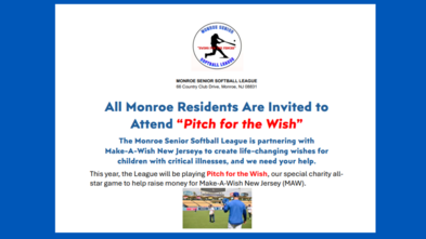 Pitch for the Wish