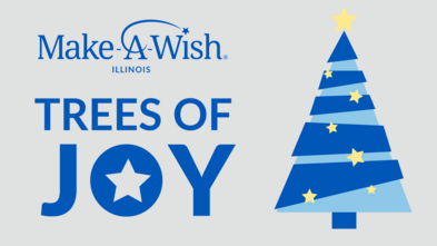2025 Trees of Joy