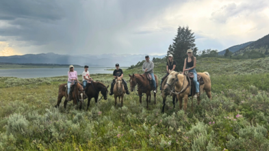 Yellowstone horses