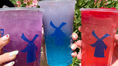 Dutch Bros