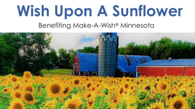 Wish Upon A Sunflower