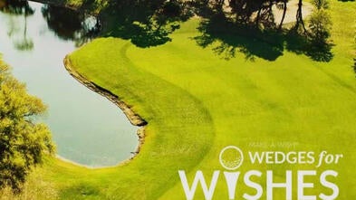 Wedges for Wishes
