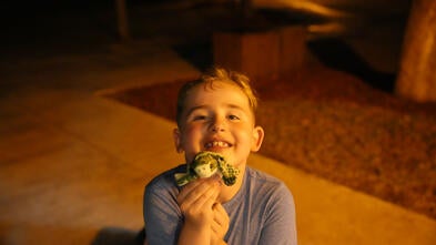 Hiram's Sea Turtle Adventure