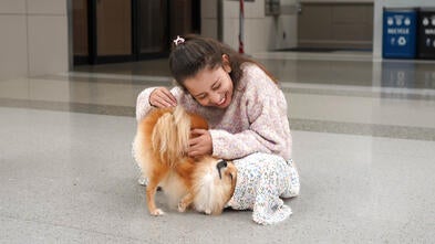 Victoria's wish to bring her dog from Colombia