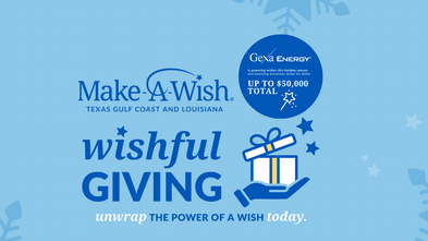 wishful giving logo 