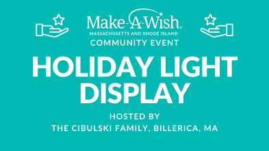 Holiday Light Display